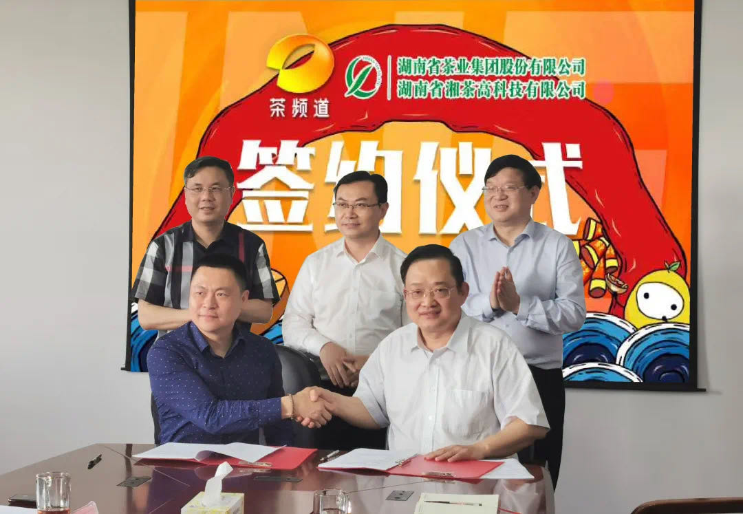 院士見(jiàn)證，輕輕茶發(fā)力品牌建設(shè)，與茶頻道達(dá)成深度合作